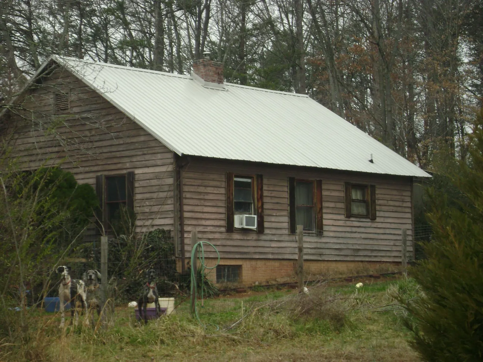White metal roof on an old wood sided farmhouse, from a Metal Roof Installation job in Leadville